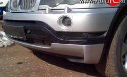4 399 р. Накладка переднего бампера Sport (дорестайл) BMW X5 E53 дорестайлинг (1999-2003)  с доставкой в г. Кемерово. Увеличить фотографию 2