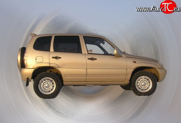 699 р. Арки крыльев Кураж  Chevrolet Niva  2123 (2002-2008), Лада 2123 (Нива Шевроле) (2002-2008) (Неокрашенные)  с доставкой в г. Кемерово