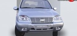 Накладки на зеркала Кураж 2 до 2005 года Chevrolet Niva  2123 (2002-2008), Лада 2123 (Нива Шевроле) (2002-2008)