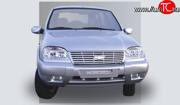 519 р. Накладки на зеркала Кураж 2 до 2005 года  Chevrolet Niva  2123 (2002-2008), Лада 2123 (Нива Шевроле) (2002-2008) (Неокрашенные)  с доставкой в г. Кемерово