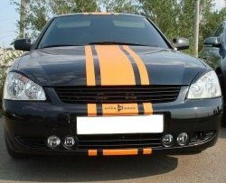 1 299 р. Решётка радиатора Elegance  Лада Приора ( 2170,  2171,  2172,  21728) (2007-2018) седан дорестайлинг, универсал дорестайлинг , хэтчбек дорестайлинг, купе рестайлинг, седан рестайлинг, универсал рестайлинг, хэтчбек рестайлин (Неокрашенная)  с доставкой в г. Кемерово. Увеличить фотографию 4
