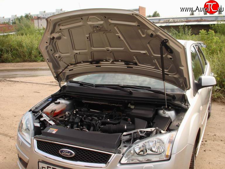 2 249 р. Упор капота Sport  Ford Focus  2 (2004-2008)  седан дорестайлинг, универсал дорестайлинг, хэтчбэк 3 дв. дорестайлинг, хэтчбэк 5 дв. дорестайлинг (Без кронштейна)  с доставкой в г. Кемерово