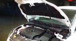 Упор капота Sport Ford Focus  3 (2010-2019) универсал дорестайлинг, хэтчбэк дорестайлинг, седан дорестайлинг, седан рестайлинг, универсал рестайлинг, хэтчбэк рестайлинг