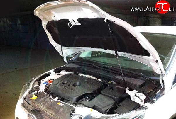 2 969 р. Упор капота Sport  Ford Focus  3 (2010-2019) универсал дорестайлинг, хэтчбэк дорестайлинг, седан дорестайлинг, седан рестайлинг, универсал рестайлинг, хэтчбэк рестайлинг  с доставкой в г. Кемерово
