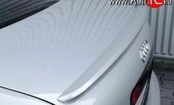 Лип спойлер Caractere Audi A6  C5 (1997-2001) дорестайлинг, седан