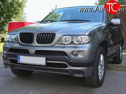 4 999 р. Накладка Sport Package на передний бампер (4.8is) BMW X5 E53 дорестайлинг (1999-2003) (Кузов: дорестайлинг)  с доставкой в г. Кемерово