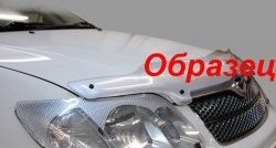 1 999 р. Защита фар CA-Plastic  BMW X5  E53 (1999-2003) дорестайлинг (Цвет: прозрачный)  с доставкой в г. Кемерово. Увеличить фотографию 5