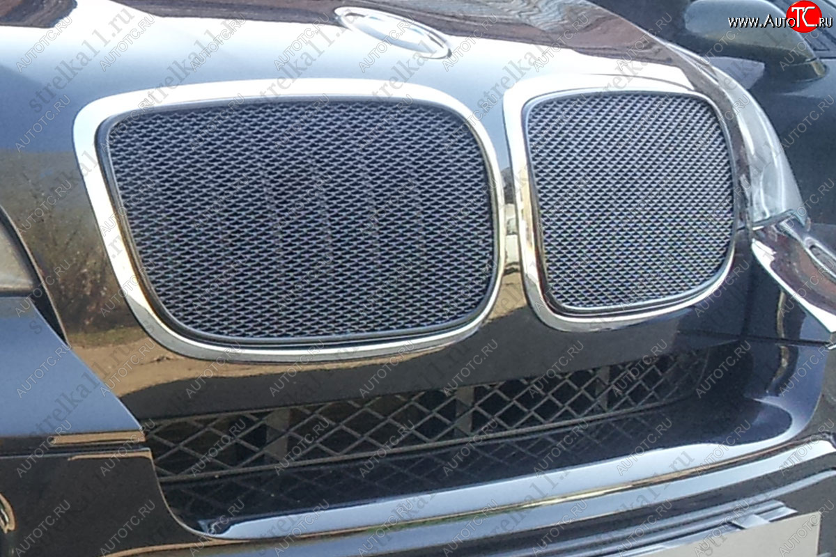 6 849 р. Защитная сетка решетки радиатора AUTOLEADER Премиум BMW X6 E71 дорестайлинг (2008-2012) (черная)  с доставкой в г. Кемерово