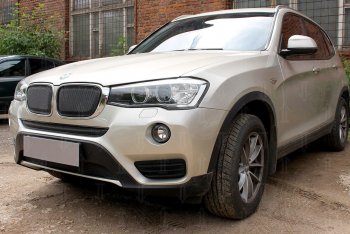 6 749 р. Защитная сетка решетки радиатора Стрелка 11 Премиум (алюминий) BMW X3 F25 рестайлинг (2014-2017) (Цвет: черный)  с доставкой в г. Кемерово. Увеличить фотографию 2
