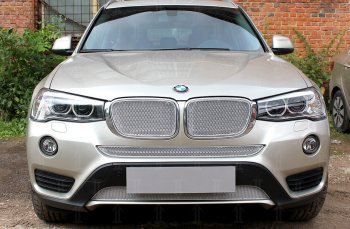 6 849 р. Защитная сетка решетки радиатора Стрелка 11 Премиум (алюминий)  BMW X3  F25 (2014-2017) рестайлинг (Цвет: хром)  с доставкой в г. Кемерово. Увеличить фотографию 2