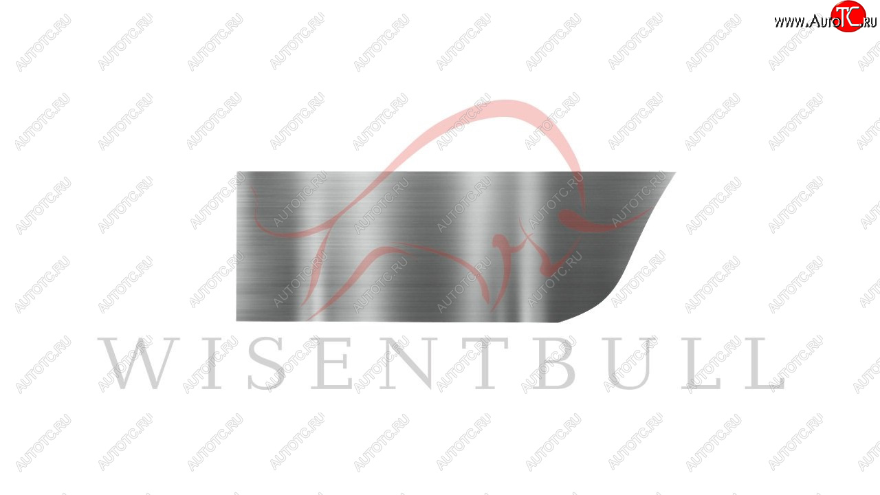 1 989 р. Ремкомплект правой двери Wisentbull  Chevrolet Aveo  T200 (2003-2008), Chevrolet Kalos (2002-2008), Pontiac Wave  T200 (2004-2006)  с доставкой в г. Кемерово