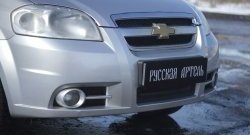 1 259 р. Защитная сетка решетки переднего бампера RA  Chevrolet Aveo  T250 (2006-2011) седан рестайлинг  с доставкой в г. Кемерово. Увеличить фотографию 1