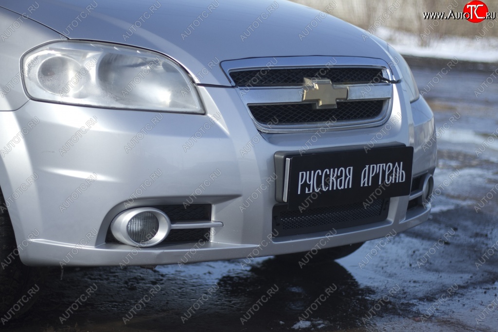 1 259 р. Защитная сетка решетки переднего бампера RA  Chevrolet Aveo  T250 (2006-2011) седан рестайлинг  с доставкой в г. Кемерово