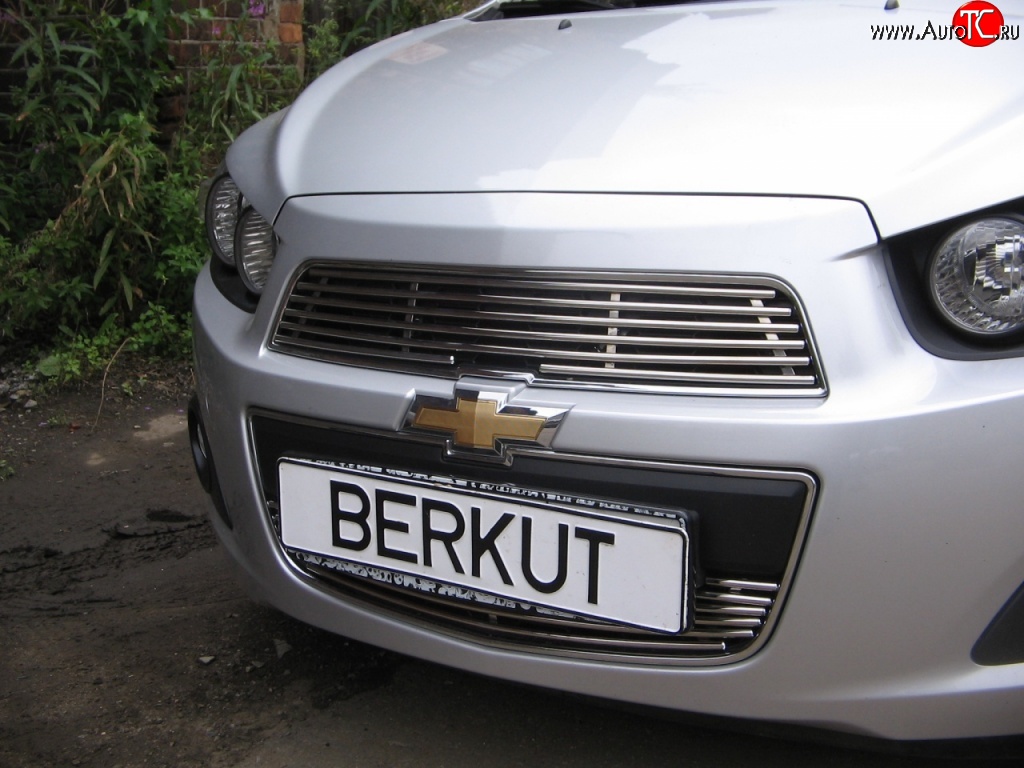 4 399 р. Декоративная вставка решетки радиатора Berkut Chevrolet Aveo T300 хэтчбек (2011-2015)  с доставкой в г. Кемерово