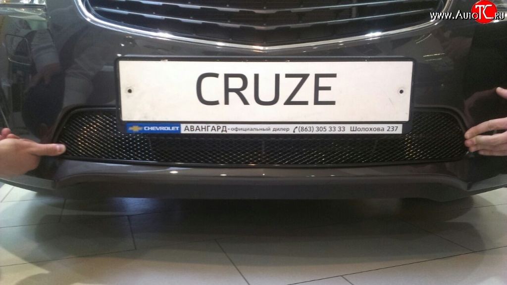 2 899 р. Сетка на бампер Novline Chevrolet Cruze J305 хэтчбек дорестайлинг (2009-2012)  с доставкой в г. Кемерово