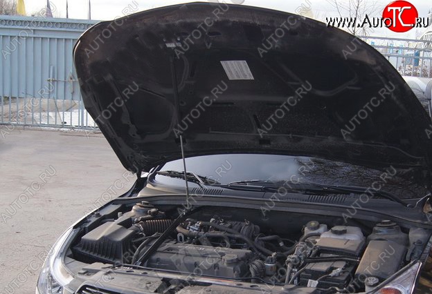 3 299 р. Газовый упор капота Tuning-Sport  Chevrolet Cruze ( J300,  J305) (2009-2015) седан дорестайлинг, хэтчбек дорестайлинг, седан рестайлинг, хэтчбек рестайлинг  с доставкой в г. Кемерово