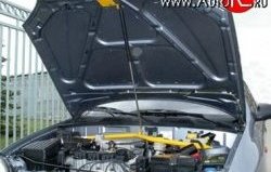 Упор капота Sport Chevrolet Lanos ( T100,  T150,  седан) (1997-2017), Daewoo Sense  Т100 (1997-2008), ЗАЗ Chance ( седан,  хэтчбэк) (2009-2017), ЗАЗ Sens ( седан,  хэтчбэк) (2007-2017)