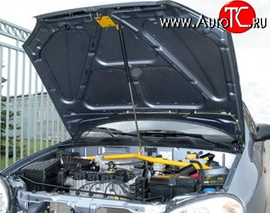 2 249 р. Упор капота Sport  Chevrolet Lanos ( T100,  T150,  седан) (1997-2017), Daewoo Sense  Т100 (1997-2008), ЗАЗ Chance ( седан,  хэтчбэк) (2009-2017), ЗАЗ Sens ( седан,  хэтчбэк) (2007-2017)  с доставкой в г. Кемерово