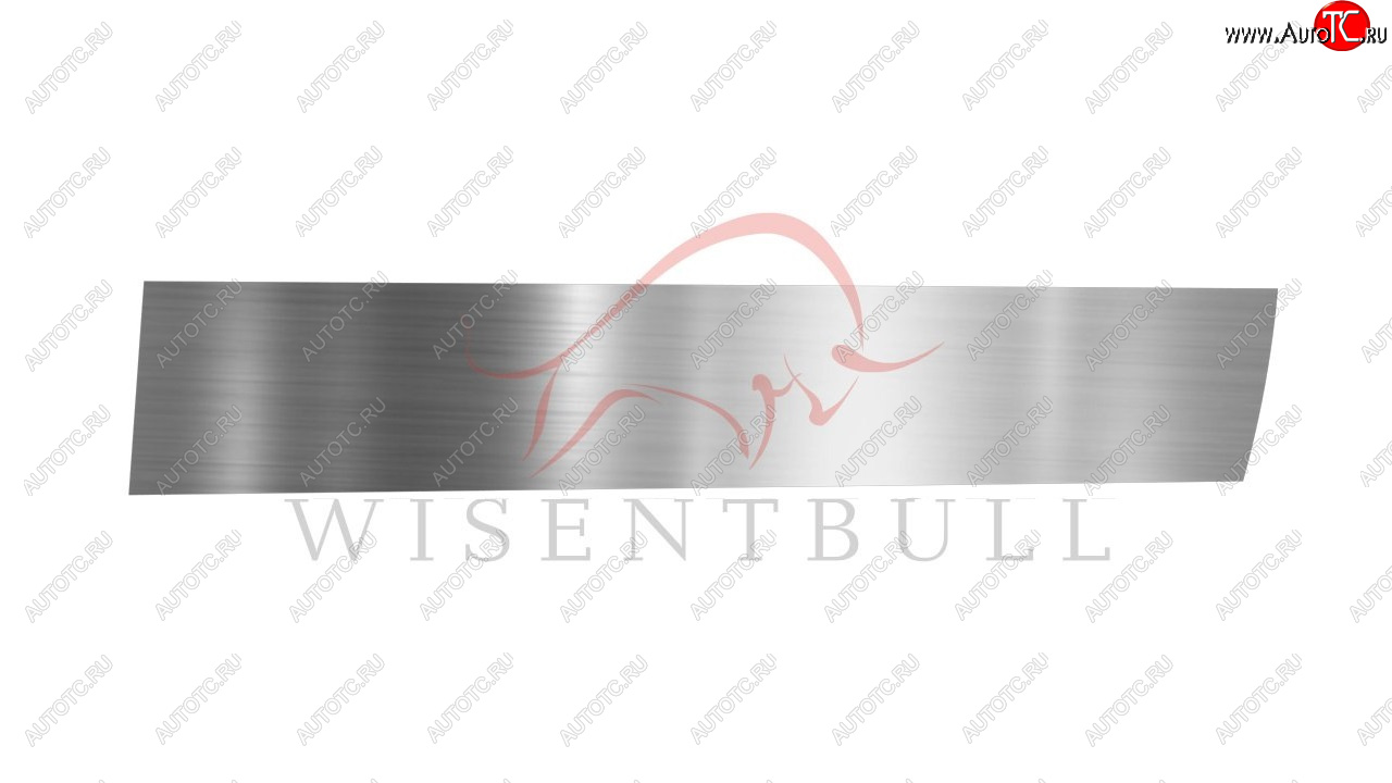 1 989 р. Ремкомплект правой двери Wisentbull  Chrysler Town and Country  NS, GS минивэн (1995-2000), Chrysler Voyager  GS минивэн (1995-2000), Dodge Caravan (1996-2000)  с доставкой в г. Кемерово