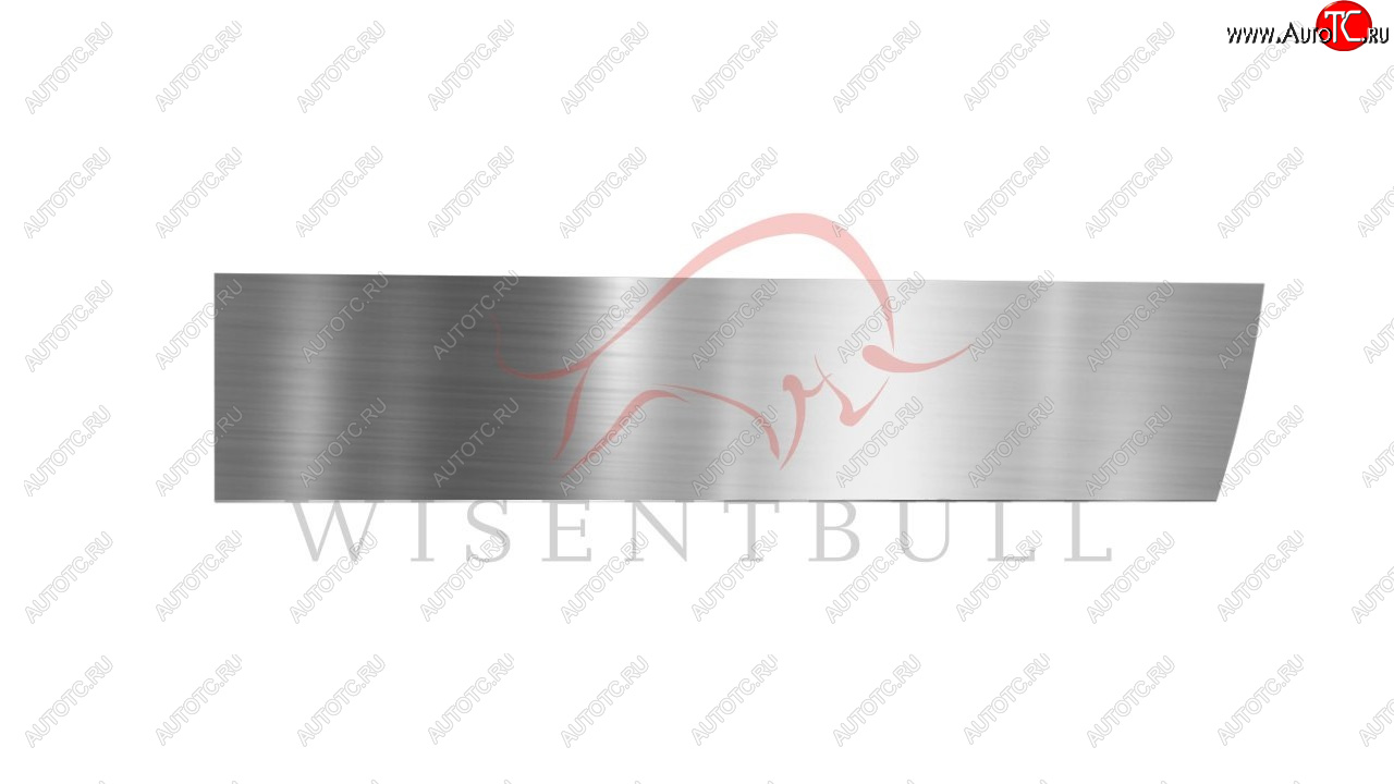 1 989 р. Ремкомплект правой двери Wisentbull  CITROEN C3  FC/FN (2002-2009) хэтчбэк  с доставкой в г. Кемерово
