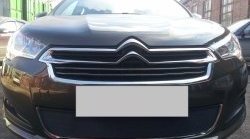 1 469 р. Сетка на бампер (седан) Russtal (черная)  CITROEN C4  B7 (2011-2018) хэтчбэк 5 дв.  с доставкой в г. Кемерово. Увеличить фотографию 1