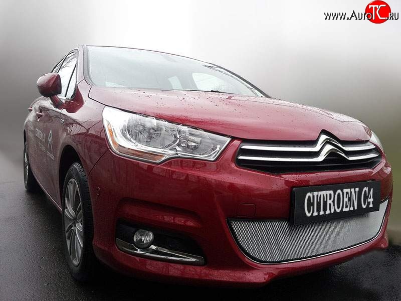 2 079 р. Сетка на бампер внешняя Autofamily , 10 мм  CITROEN C4  B7 (2011-2018) хэтчбэк 5 дв. (Хром)  с доставкой в г. Кемерово