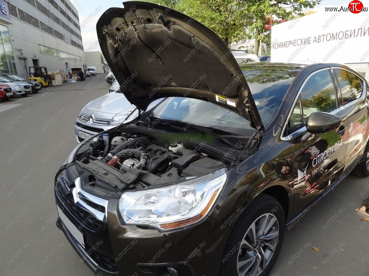 1 949 р. Упоры капота Russtal CITROEN DS4 PF1 дорестайлинг,хэтчбэк 5дв. (2010-2015)  с доставкой в г. Кемерово
