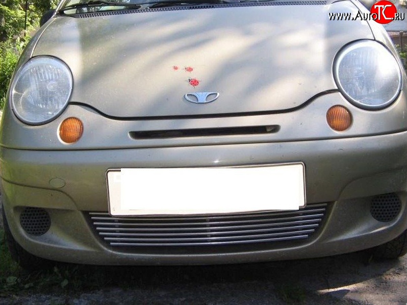 4 099 р. Декоративная вставка воздухозаборника (рестайлинг) Berkut Daewoo Matiz M150 рестайлинг (2000-2016)  с доставкой в г. Кемерово