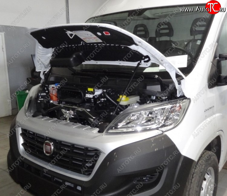 3 999 р. Амортизаторы капота Autofamily Fiat Ducato 290 (2014-2025)  с доставкой в г. Кемерово