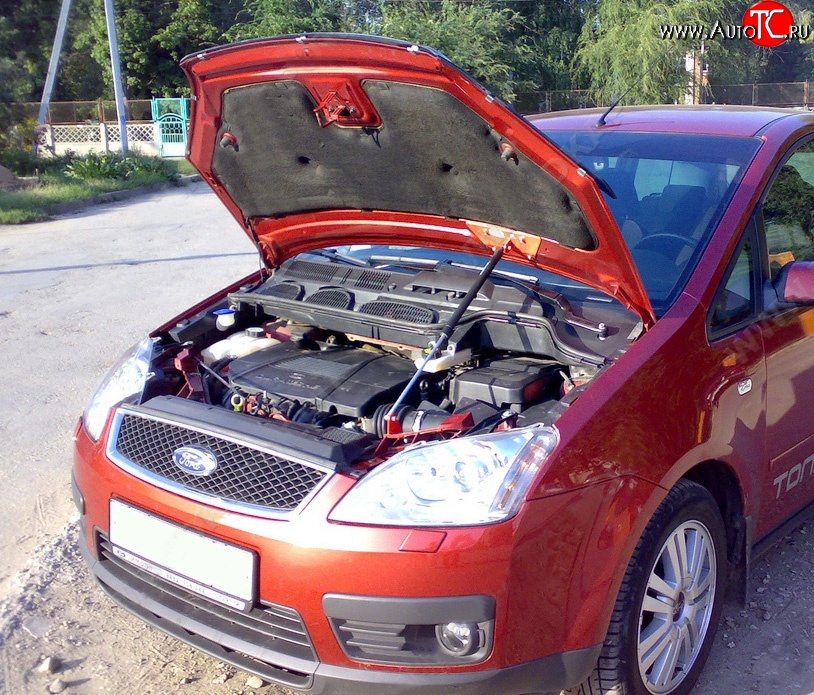 2 969 р. Упор капота Sport  Ford C-max  Mk1 (2007-2010) рестайлинг  с доставкой в г. Кемерово
