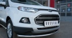 15 649 р. Одинарная защита переднего бампера диаметром 63 мм SLITKOFF  Ford EcoSport (2013-2019) дорестайлинг  с доставкой в г. Кемерово. Увеличить фотографию 3