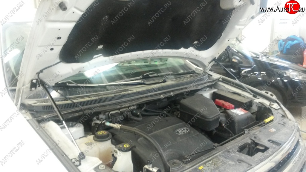 2 199 р. Газовые упоры капота (рестайлинг) Berkut Ford Edge U387 дорестайлинг (2006-2010)  с доставкой в г. Кемерово