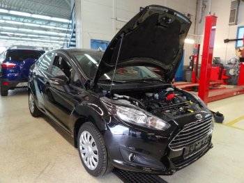 1 549 р. Упор капота Russtal Ford Fiesta 6 хэтчбэк 3 дв. дорестайлинг (2008-2013)  с доставкой в г. Кемерово. Увеличить фотографию 1