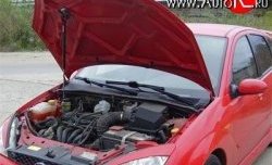 Упор капота Sport Ford Focus ( 1,  3) (1998-2019) седан дорестайлинг, универсал дорестайлинг, хэтчбэк 3 дв. дорестайлинг, хэтчбэк 5 дв. дорестайлинг, седан рестайлинг, универсал рестайлинг, хэтчбэк 3 дв. рестайлинг, хэтчбэк 5 дв. рестайлинг, седан рестайлинг