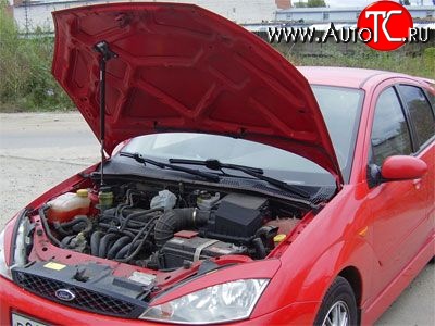 2 969 р. Упор капота Sport  Ford Focus ( 1,  3) (1998-2019) седан дорестайлинг, универсал дорестайлинг, хэтчбэк 3 дв. дорестайлинг, хэтчбэк 5 дв. дорестайлинг, седан рестайлинг, универсал рестайлинг, хэтчбэк 3 дв. рестайлинг, хэтчбэк 5 дв. рестайлинг, седан рестайлинг  с доставкой в г. Кемерово