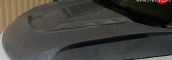 21 499 р. Пластиковый капот Exclusive Ford Focus 2 хэтчбэк 5 дв. рестайлинг (2007-2011) (Неокрашенный)  с доставкой в г. Кемерово. Увеличить фотографию 2