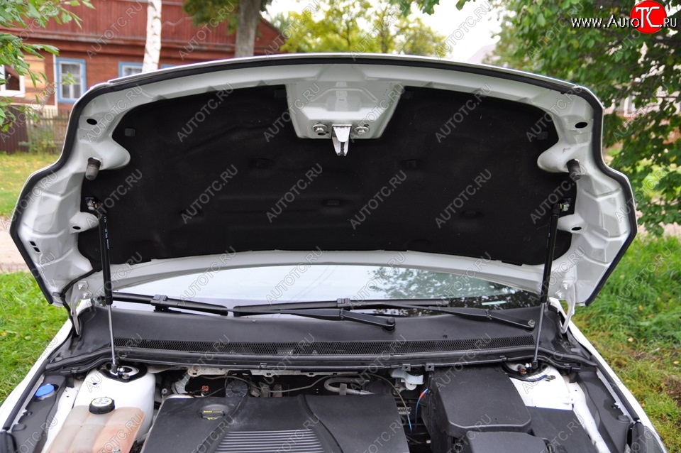 2 199 р. Газовые упоры капота Berkut Ford Focus 2 хэтчбэк 5 дв. рестайлинг (2007-2011)  с доставкой в г. Кемерово