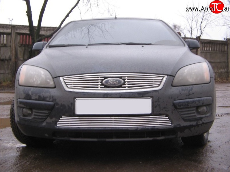 5 399 р. Декоративная вставка воздухозаборника Berkut Ford Focus 2 хэтчбэк 5 дв. дорестайлинг (2004-2008)  с доставкой в г. Кемерово