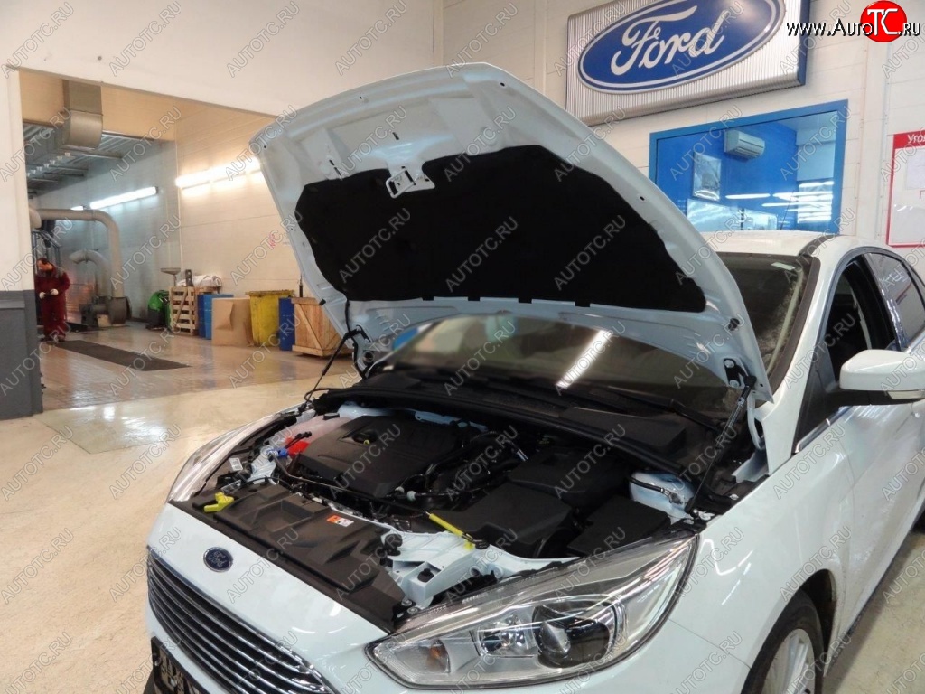 2 199 р. Газовые упоры капота Berkut Ford Focus 3 универсал дорестайлинг (2010-2015)  с доставкой в г. Кемерово