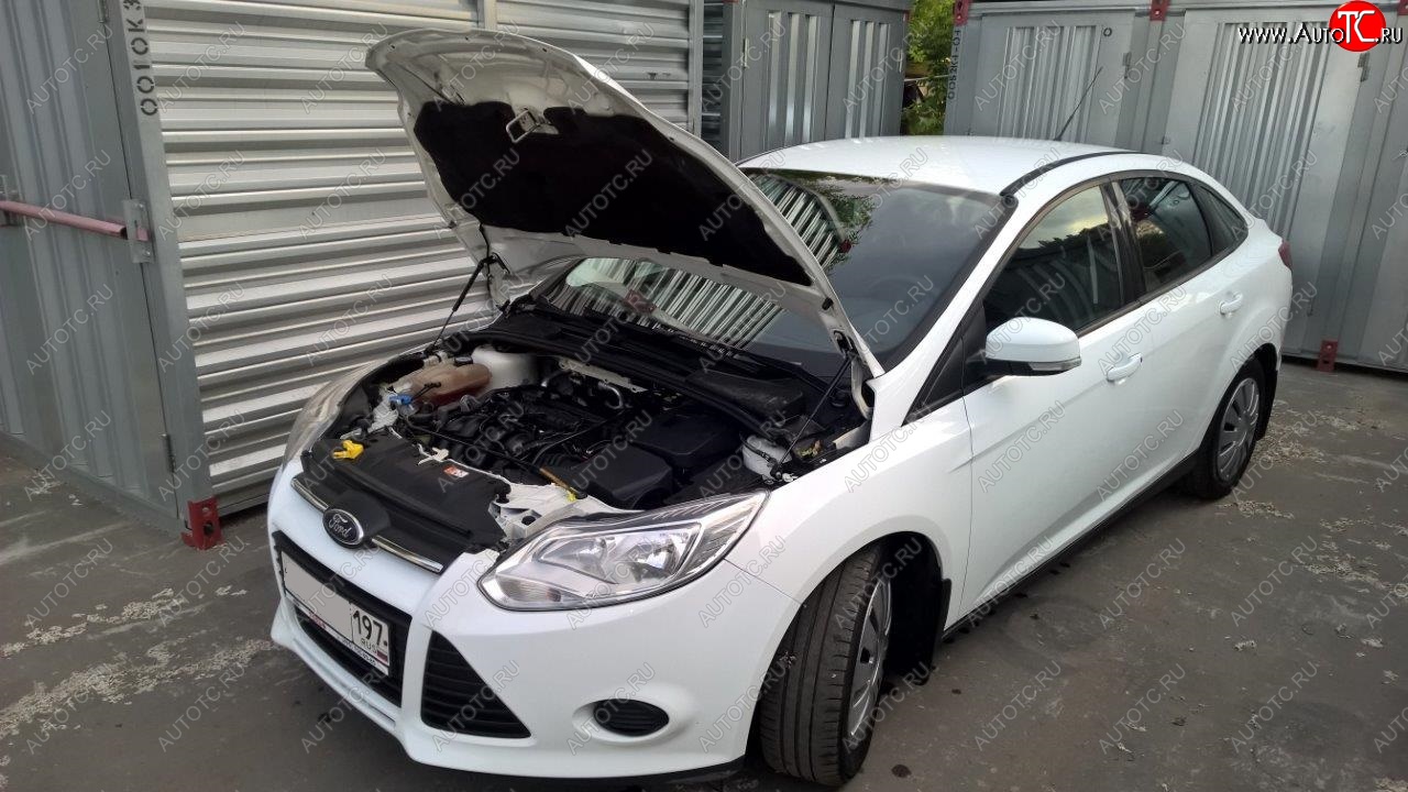 2 049 р. Упоры капота Russtal Ford Focus 3 хэтчбэк рестайлинг (2014-2019)  с доставкой в г. Кемерово