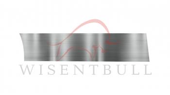 Ремкомплект правой двери Wisentbull Ford Freestar (2003-2007)