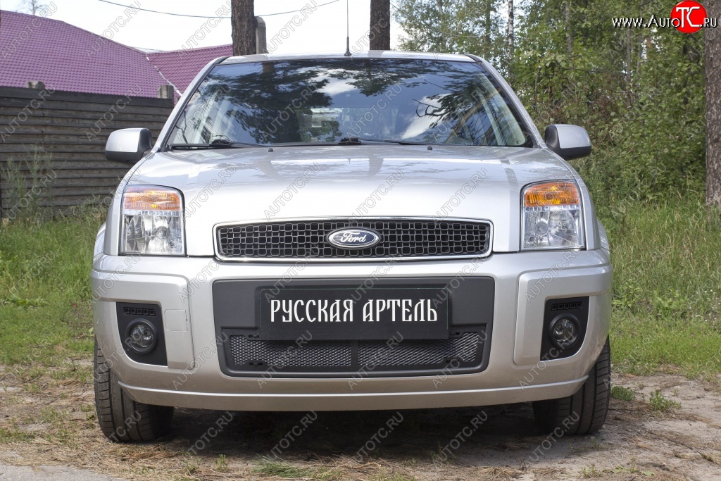 2 159 р. Защитная сетка решетки переднего бампера РА  Ford Fusion  1 (2005-2012)  рестайлинг, хэтчбэк  с доставкой в г. Кемерово