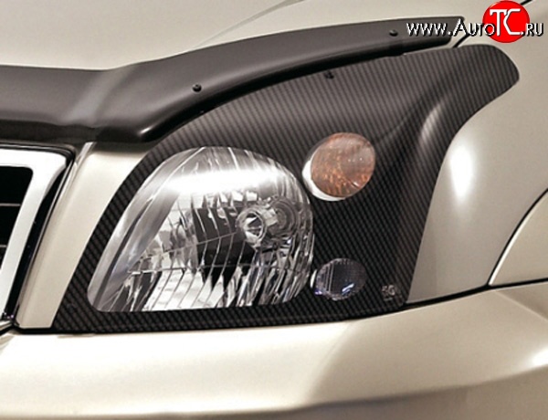 1 268 р. Карбоновая защита передних фар Novline Ford Fusion 1  рестайлинг, хэтчбэк (2005-2012)  с доставкой в г. Кемерово