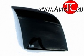 1 268 р. Темная защита передних фар Novline Ford Fusion 1  рестайлинг, хэтчбэк (2005-2012)  с доставкой в г. Кемерово