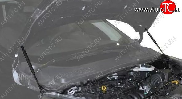 2 199 р. Газовые упоры капота Berkut Ford Kuga 2 рестайлинг (2016-2019)  с доставкой в г. Кемерово