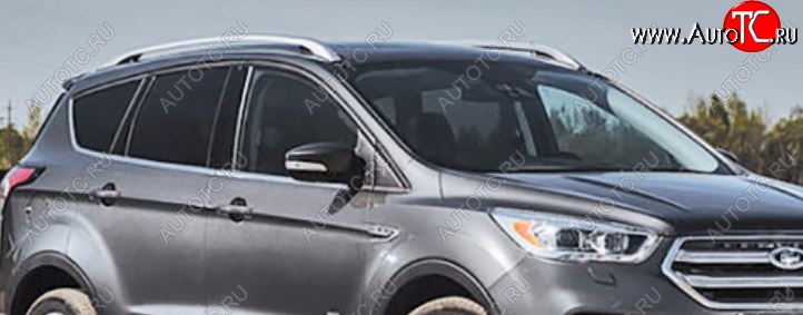 7 349 р. Рейлинги WINBO  Ford Kuga  2 (2013-2019) дорестайлинг, рестайлинг (Серебристые)  с доставкой в г. Кемерово