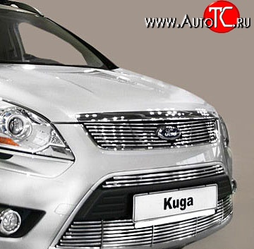 5 799 р. Декоративная вставка решетки радиатора Berkut Ford Kuga 1 (2008-2013)  с доставкой в г. Кемерово