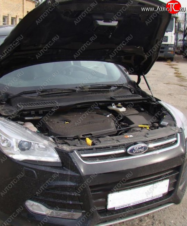 2 199 р. Газовые упоры капота Berkut Ford Kuga 2 дорестайлинг (2013-2016)  с доставкой в г. Кемерово