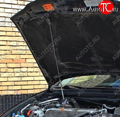 2 969 р. Газовый упор капота Tuning-Sport  Honda Accord  7 CL (2002-2005) седан дорестайлинг  с доставкой в г. Кемерово