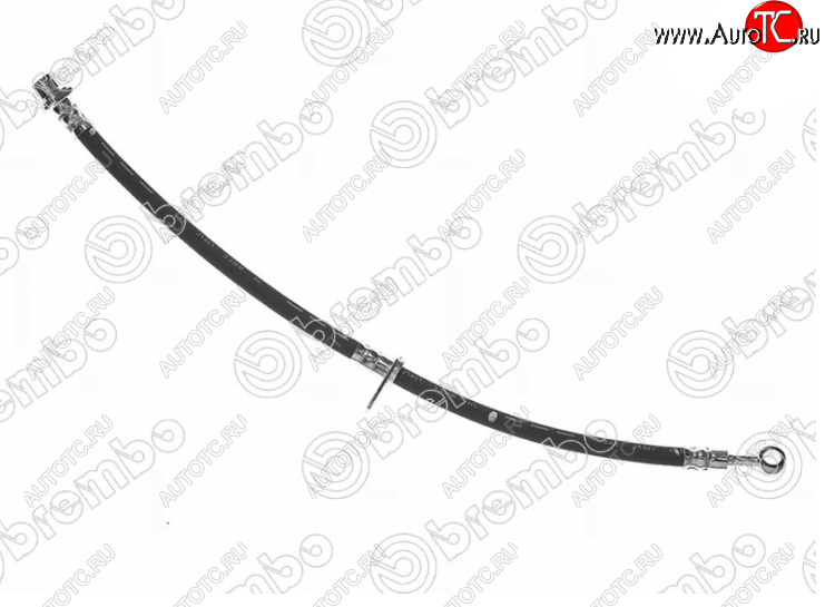 1 699 р. Левый передний тормозной шланг BREMBO Honda Accord 7 CL седан дорестайлинг (2002-2005)  с доставкой в г. Кемерово